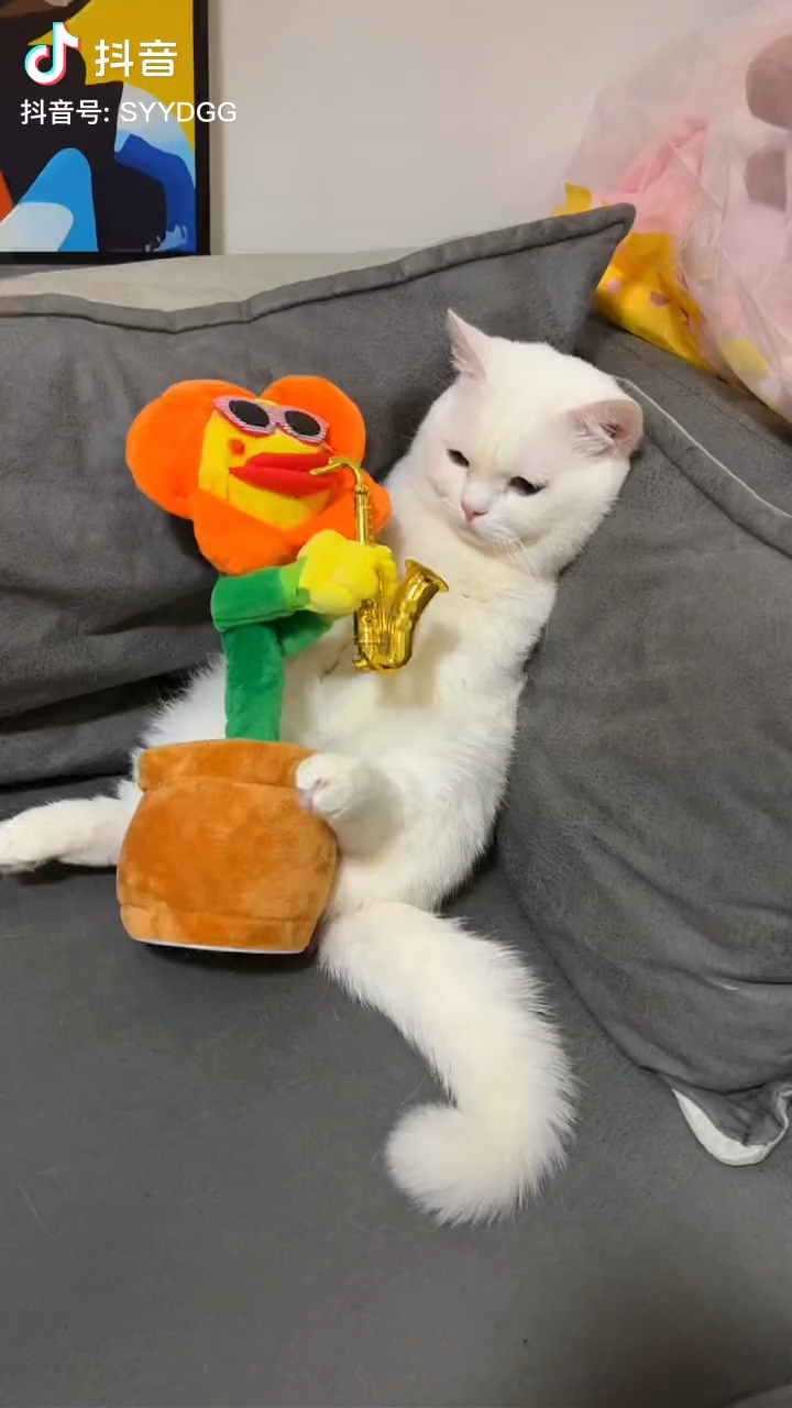 12312